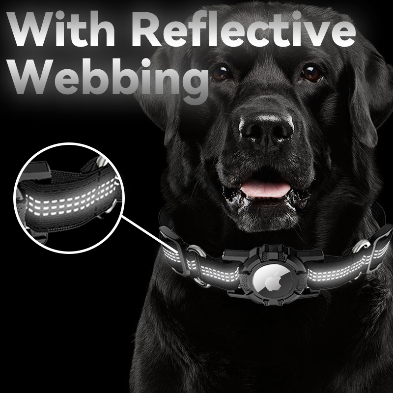 Anti-Lost Pet Dog Collar