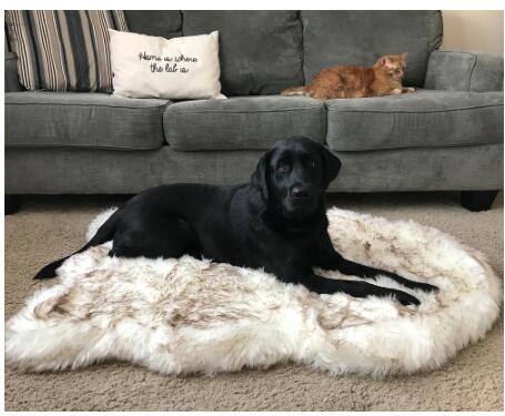 Pet Dog Supplies Faux Fur Thick Dog Mat for Large Dogs