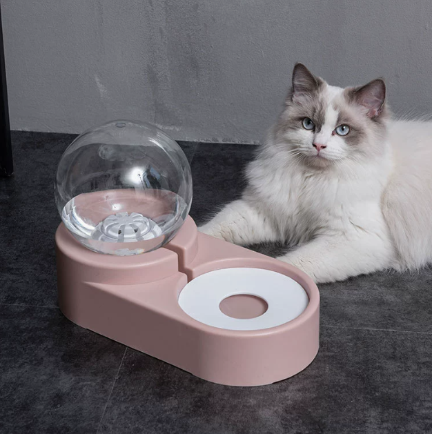 automatic pet feeder with fountain