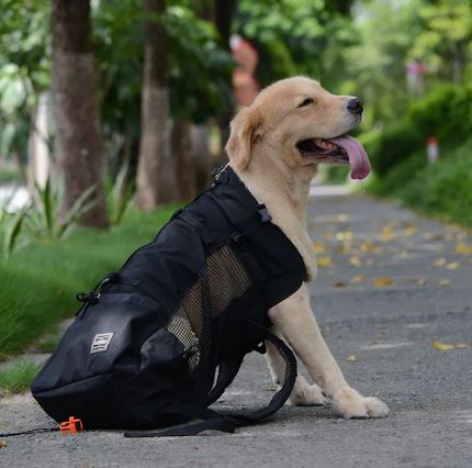 Hiking Pet Dog Carrier